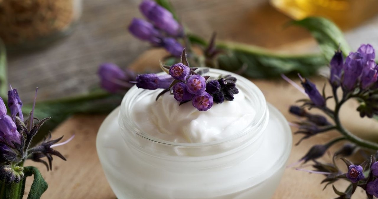 W Polsce to wciąż popularna roślina lecznicza. Niemcy jej zakazali