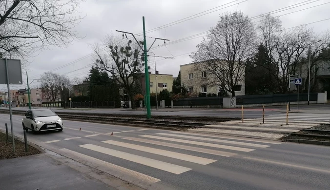 Wypadki na pasach. Niecodzienne rozwiązanie władz Poznania