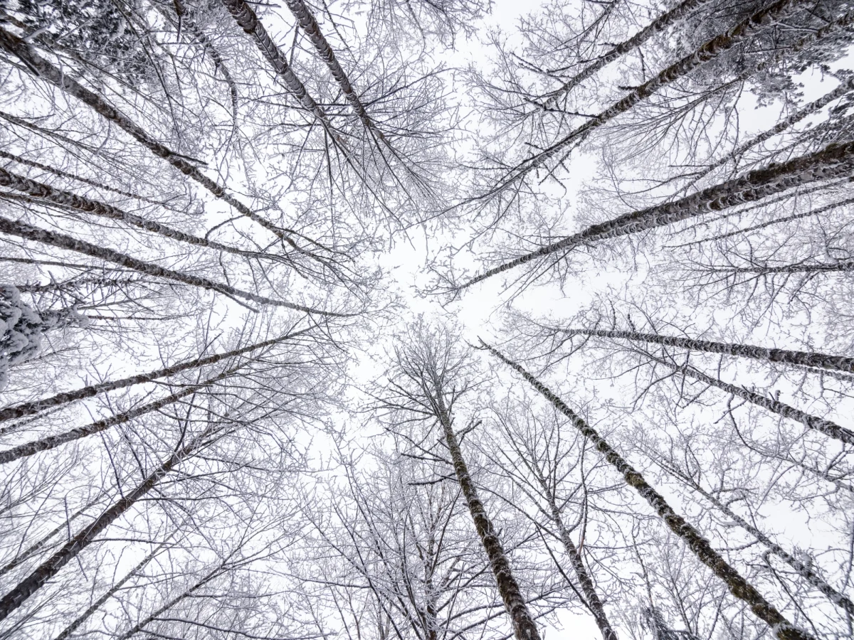 Turyści, którzy planują weekendową wyprawę w Beskidy, muszą ze szczególną uwagą śledzić komunikaty GOPR. Beskidzcy goprowcy informują, że warunki są bardzo różnorodne i w niektórych miejscach naprawdę niebezpieczne. Miłośnicy górskich wędrówek muszą zatem być bardzo rozsądni i odpowiednio przygotowani, jeżeli chcą bezpiecznie zrealizować swoje plany. 