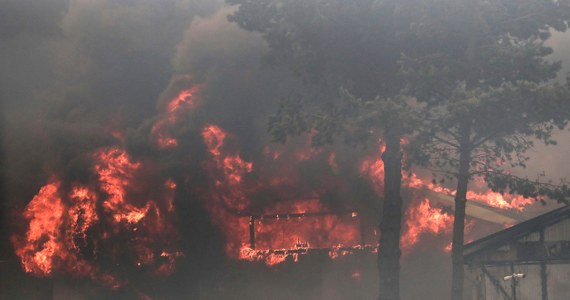 Ogromne pożary lasów trawią środkową część Chile. Liczba ofiar śmiertelnych wzrosła do 46 - powiedział w sobotę prezydent kraju Gabriel Boric.
