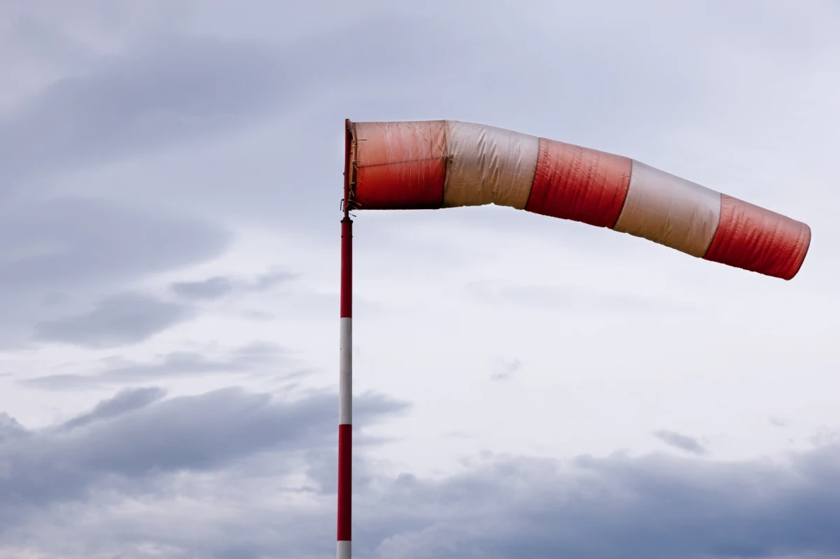 Ponad 80 razy interweniowali strażacy na Pomorzu, usuwając skutki silnego wiatru.  Ich pomoc była konieczna najczęściej na drogach, na które spadały nadłamane drzewa i konary. 