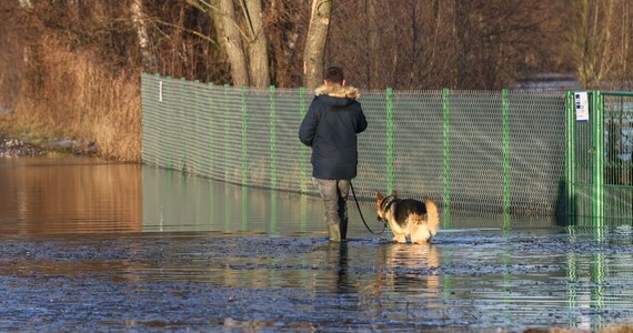 Synoptycy ostrzegają przed opadami deszczu. Padać będzie niemal w całej Polsce. Oznacza to wzrost poziomu rzek. 
