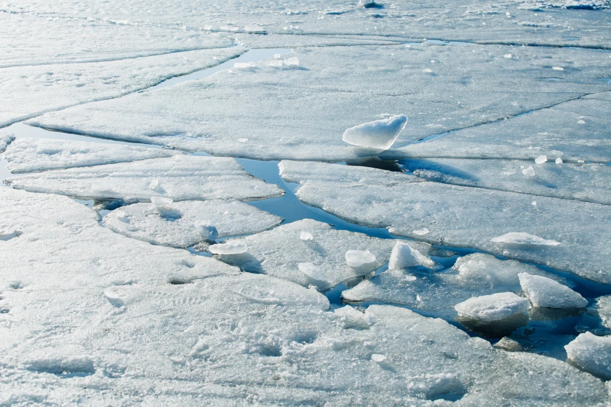 O dużym szczęściu może mówić dwóch mężczyzn, którzy w sobotę wybrali się na ryby na jezioro Śniardwy. Gdy wędkarze byli 200 metrów od brzegu, zaczął załamywać się pod nimi lód. Strażacy wyposażeni w specjalne sanie sprowadzili ich bezpiecznie na brzeg.