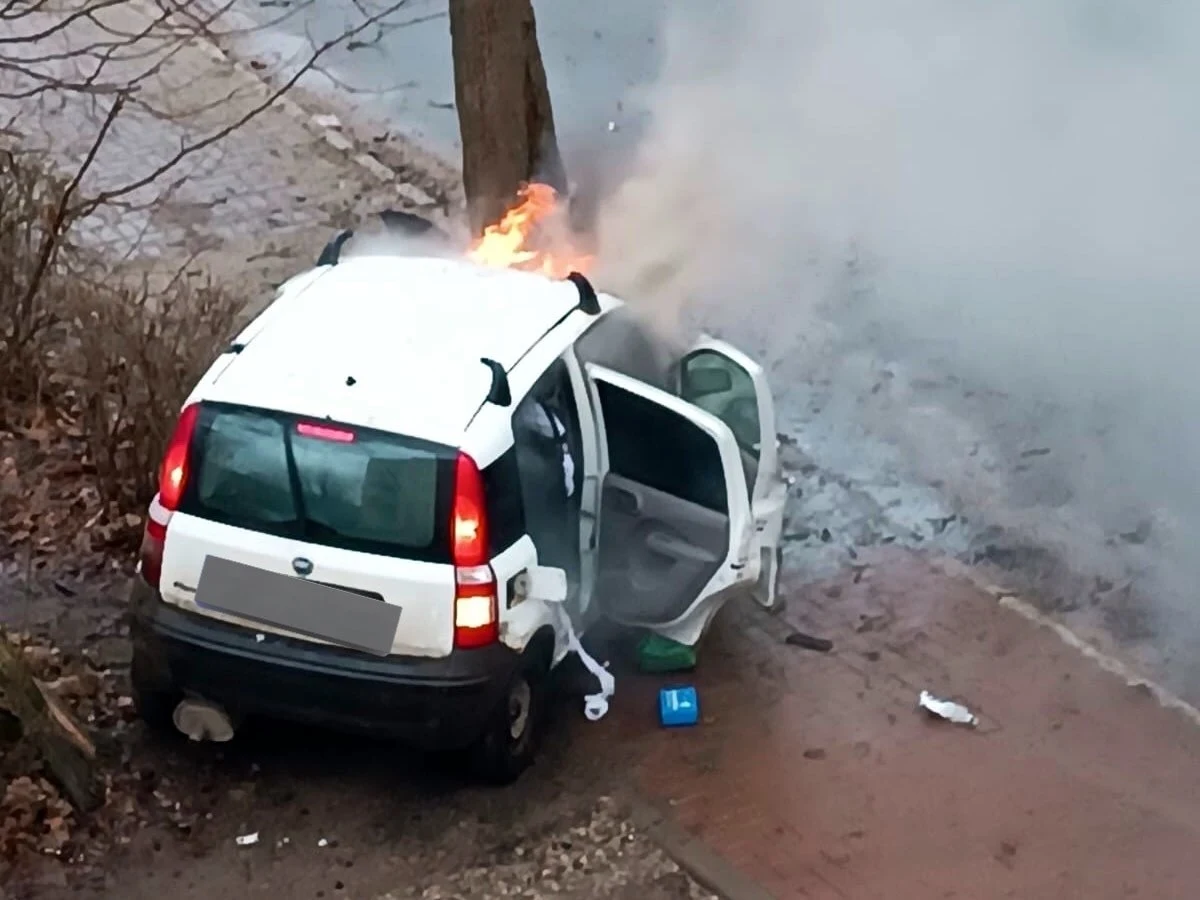 Policjanci  z Olsztyna zatrzymali 24-latka, który w piątek mógł spowodować wypadek na ulicy Rataja. Kierowca fiata panda potrącił tam pieszego i uderzył w drzewo. Samochód spłonął. 