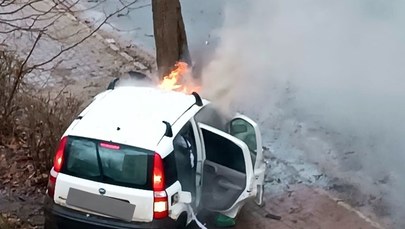 Auto uderzyło w drzewo i spłonęło. Za kierownicą mógł siedzieć 24-latek