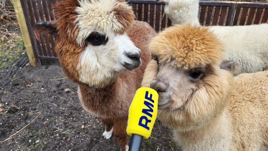 /Beniamin Piłat /RMF24