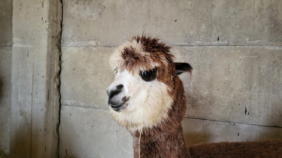 /Beniamin Piłat /RMF24