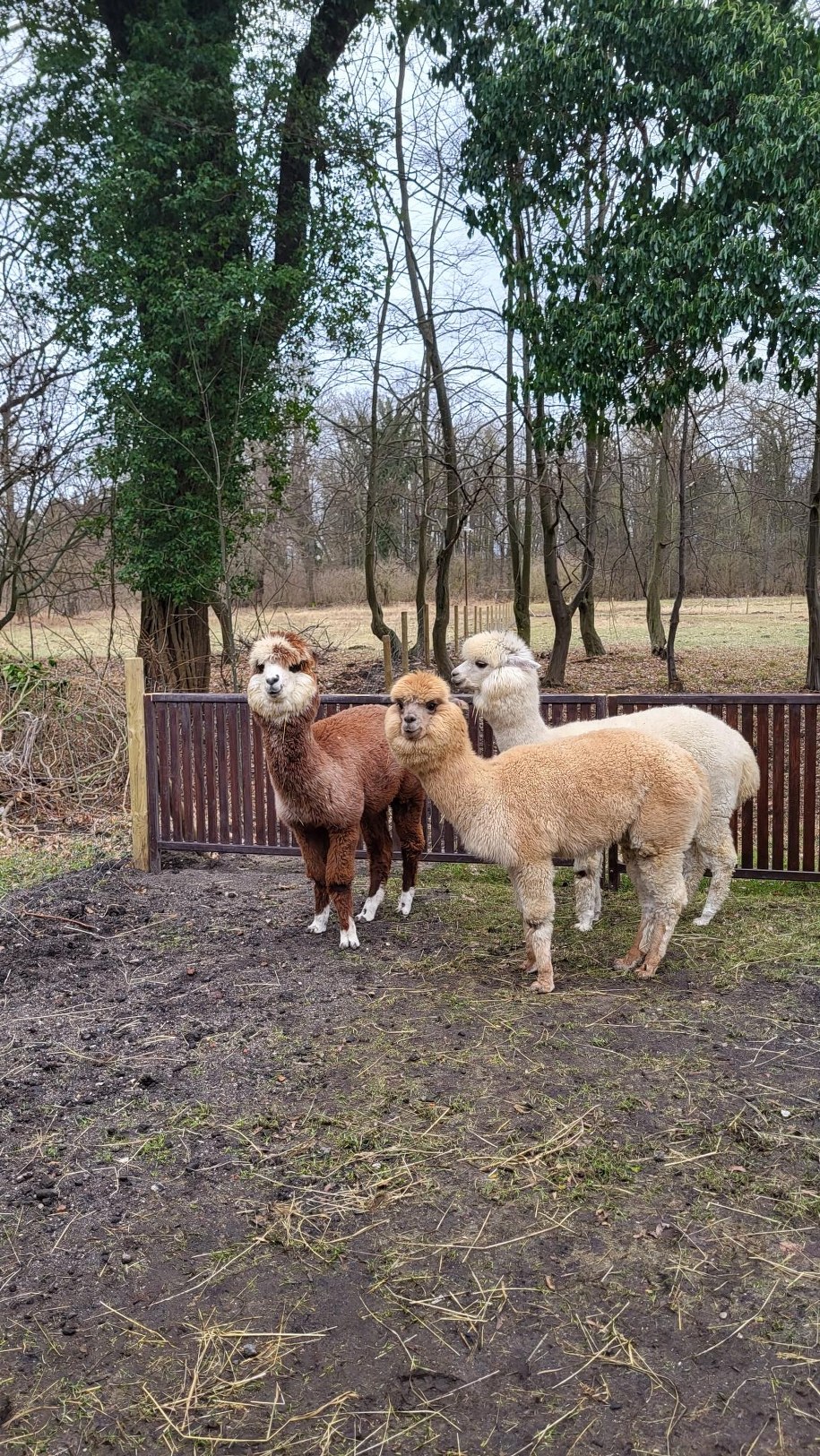 /Beniamin Piłat /RMF24