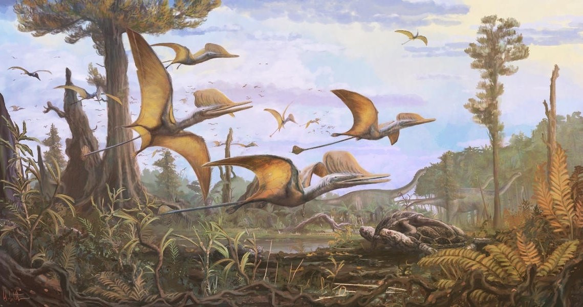 Na szkockiej wyspie Skye odkryto nowy gatunek latającego gada, czyli pterozaura, który żył 168-166 milionów lat temu. Jego skrzydła, ramiona, nogi i kręgosłup znaleziono w skale na plaży - brakowało jedynie czaszki.