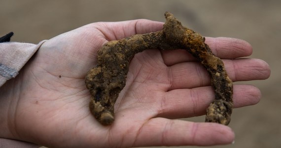 Ślady osadnicze kultury przeworskiej z epoki żelaza odkryli archeolodzy pracujący przy budowie Wisłokostrady w Rzeszowie. Znaleźli fragmenty naczyń ceramicznych i pozostałości palenisk.

