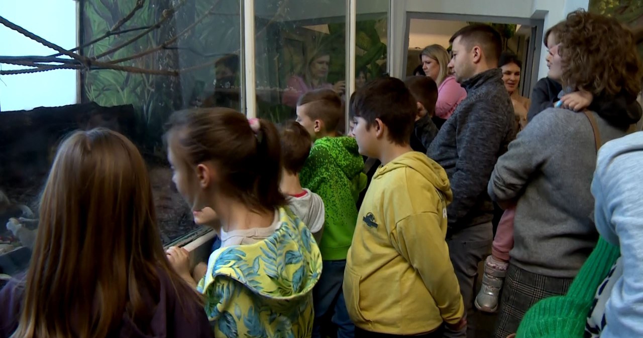 Dzieci przygotowały posiłki dla małp w zoo