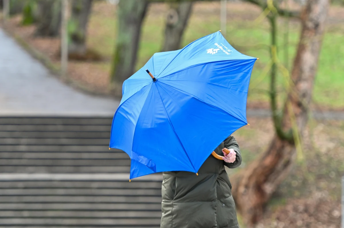 Instytut Meteorologii i Gospodarki Wodnej wydał ostrzeżenia pierwszego stopnia przed silnym wiatrem dla 13 województw. Nie obowiązują one jedynie dla woj. zachodniopomorskiego, lubuskiego i wielkopolskiego.
