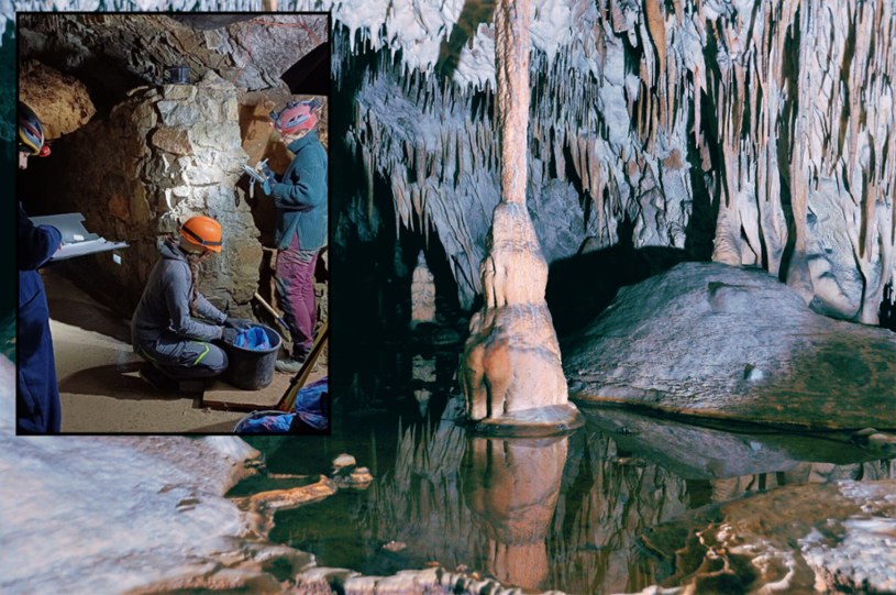 W Polsce znów odkryto coś ciekawego - tym razem do znaleziska doszło w Chęcinach. W leżącej w województwie świętokrzyskim Jaskini Raj dopiero po raz drugi prowadzone są badania archeologiczne, a już przynoszą plony. Badacze wrócili do obiektu po to, by ustalić kolejne fakty na temat zamieszkującego niegdyś ten teren człowieka neandertalskiego. Archeolodzy w zaledwie parę dni odsłonili nowe znaleziska, między innymi szczątki mamuta. Co ciekawe, jak przekazał nam menedżer Kompleksu Raj, jeszcze przez kilka dni można na żywo obserwować działania archeologów w tym miejscu - stanowisko znajduje się bowiem na trasie turystycznej, a badacze pracują w godzinach zwiedzania.