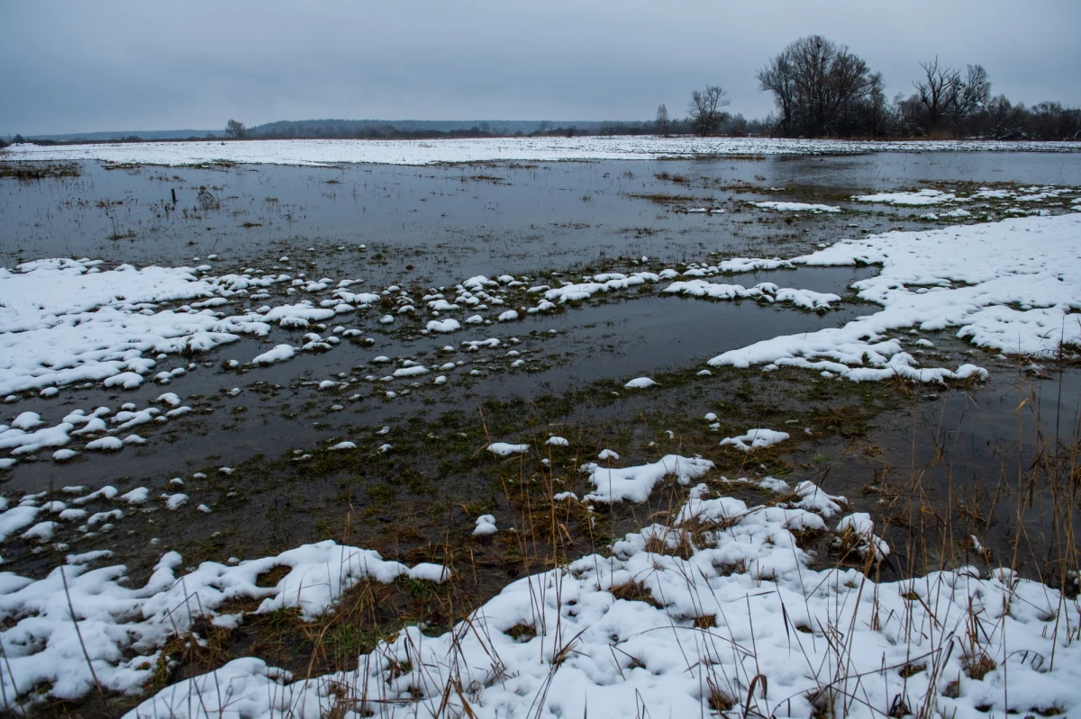 W związku z dalszym przyborem Wisły w siedmiu położonych nad rzeką gminach powiatu płockiego obowiązuje alarm przeciwpowodziowy. Stany alarmowe zostały przekroczone na wodowskazach m.in. w Wyszogrodzie, Kępie Polskiej i w Wykowie pod Płockiem. Spodziewany jest dalszy wzrost poziomu wody.