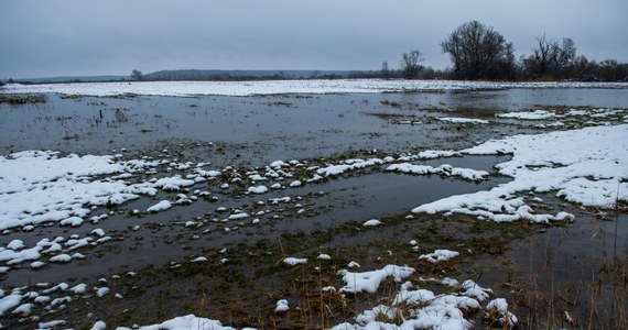 W związku z dalszym przyborem Wisły w siedmiu położonych nad rzeką gminach powiatu płockiego obowiązuje alarm przeciwpowodziowy. Stany alarmowe zostały przekroczone na wodowskazach m.in. w Wyszogrodzie, Kępie Polskiej i w Wykowie pod Płockiem. Spodziewany jest dalszy wzrost poziomu wody.