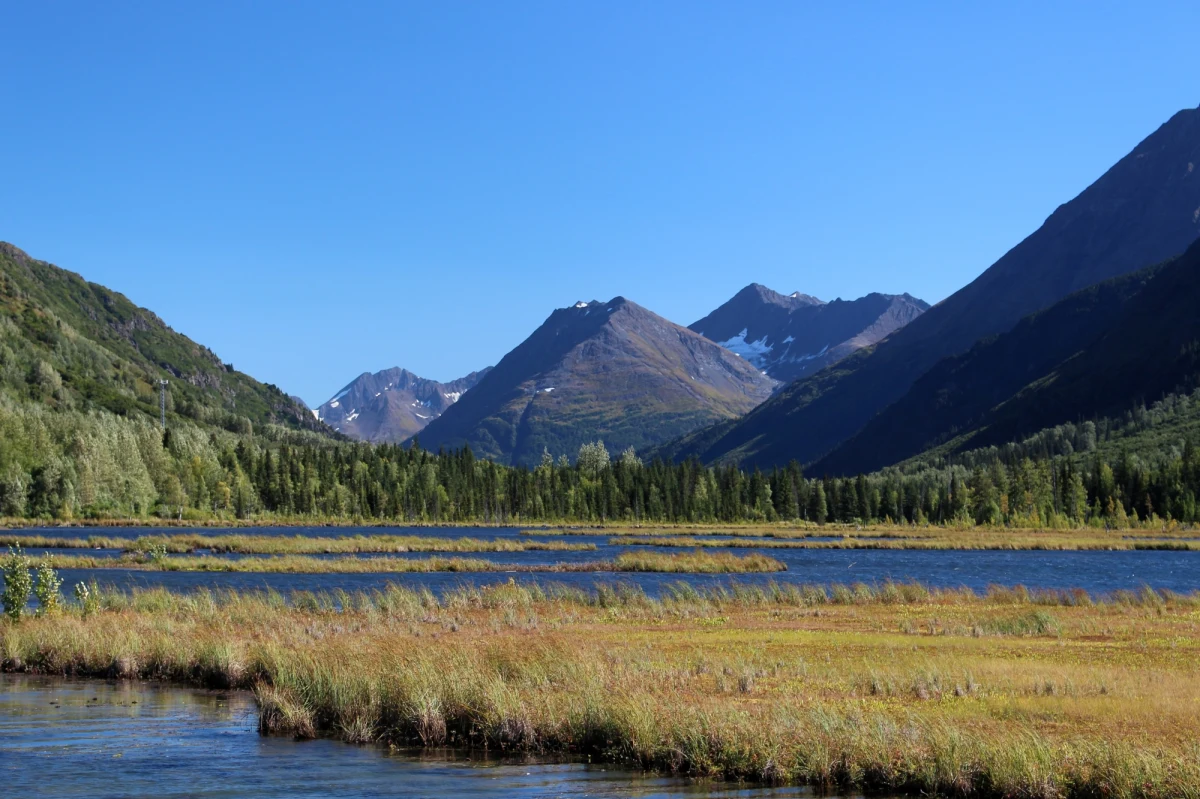 Na Alasce zarejestrowano zgon pierwszej ofiary tajemniczego wirusa, zwanego Alaska pox. Został on zidentyfikowany w 2015 roku. 