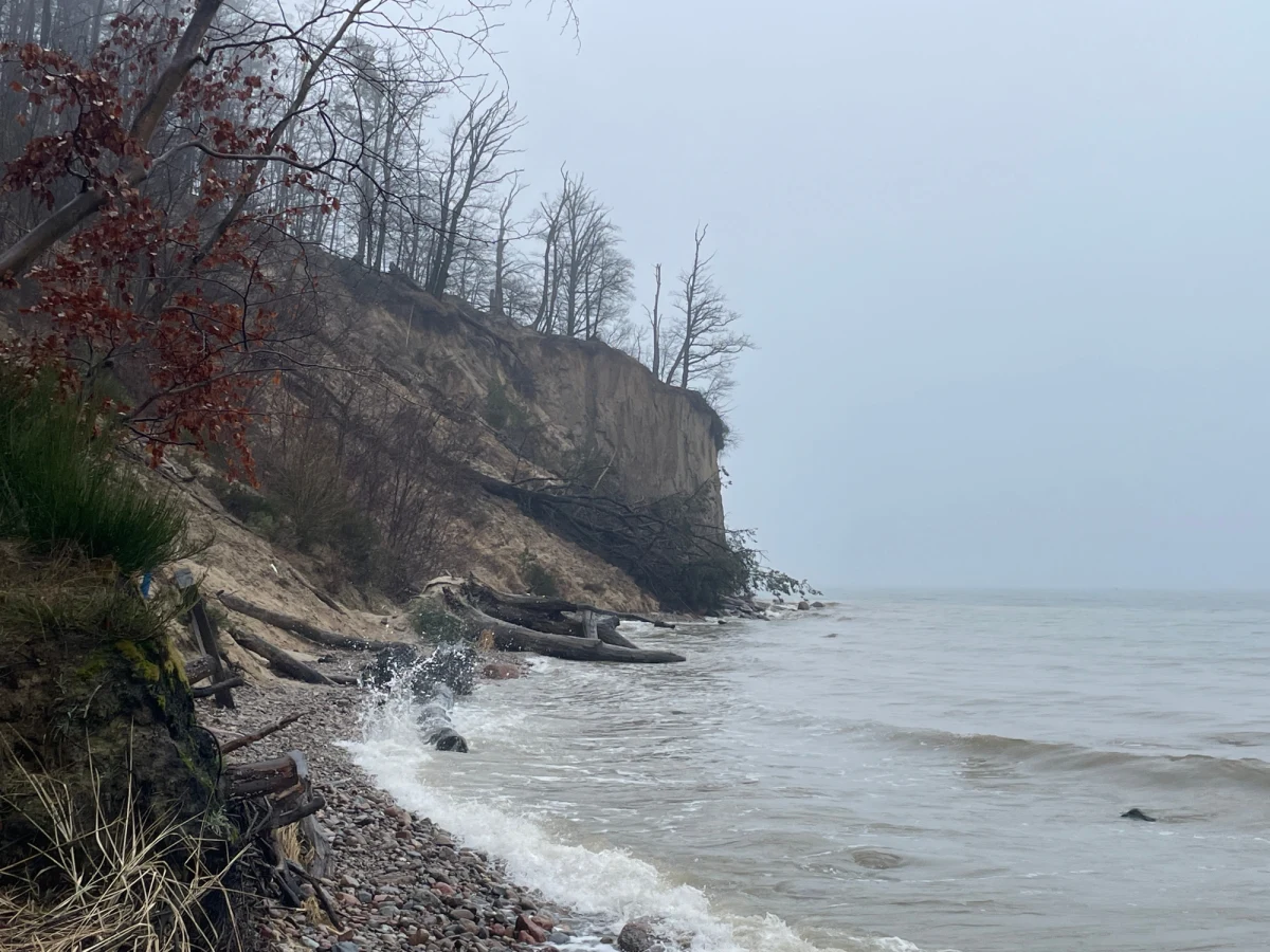 Po ostatnich sztormach uszkodzony został fragment klifu w Orłowie, a kilka drzew spadło do morza. Pod klifem i na nim jest bardzo niebezpiecznie. Jednak zgodnie z przepisami ma pozostać w naturalnym stanie, bez ingerencji człowieka. „Wynika to z zarządzenia rezerwatu Kępa Redłowska. Gdybyśmy interweniowali, prawdopodobnie klif by zarósł"  – mówi RMF FM Robert Mokrzycki, główny inspektor Ochrony Wybrzeża Urzędu Morskiego w Gdyni.