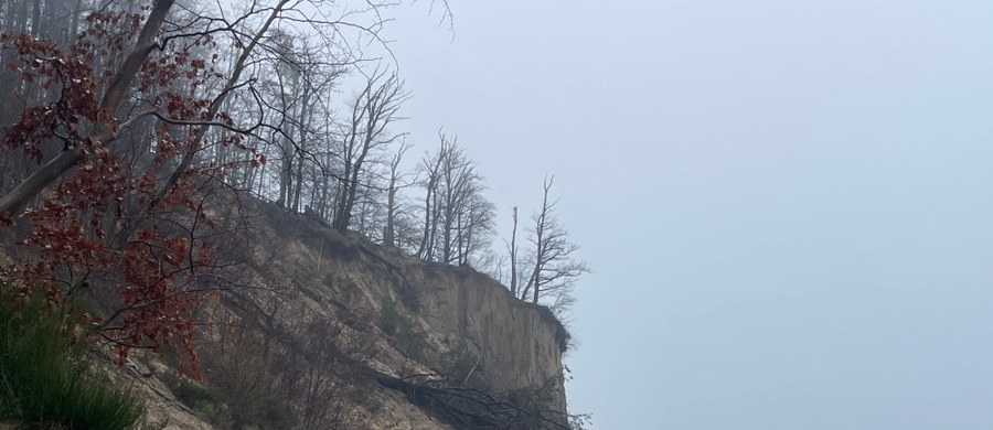 Po ostatnich sztormach uszkodzony został fragment klifu w Orłowie, a kilka drzew spadło do morza. Pod klifem i na nim jest bardzo niebezpiecznie. Jednak zgodnie z przepisami ma pozostać w naturalnym stanie, bez ingerencji człowieka. „Wynika to z zarządzenia rezerwatu Kępa Redłowska. Gdybyśmy interweniowali, prawdopodobnie klif by zarósł"  – mówi RMF FM Robert Mokrzycki, główny inspektor Ochrony Wybrzeża Urzędu Morskiego w Gdyni.