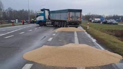 Polscy rolnicy wysypali ukraińskie zboże. Prokuratura wszczęła śledztwo 