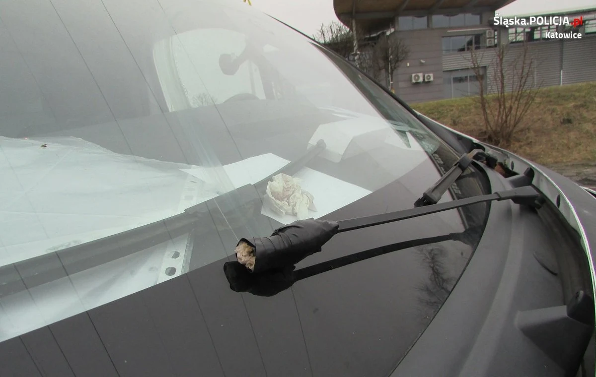 Mandaty na łączną kwotę ponad 2 tys. zł i 10 punktów karnych dostał kierowca renault, zatrzymany przez policjantów z katowickiej drogówki. Funkcjonariusze w kontrolowanym aucie dopatrzyli się blisko 20 rozmaitych usterek.