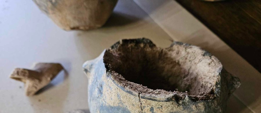 Dwie czarne amfory z epoki żelaza znaleziono w Świdnicy na Dolnym Śląsku. Archeolodzy odkryli je podczas prac przy przebudowie ulicy Kraszowickiej.  
