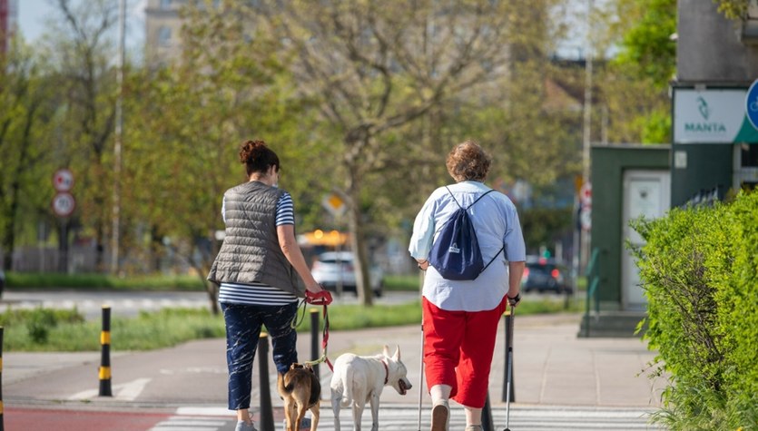  Nietypowe dane z Hiszpanii. W mieście jest więcej psów niż dzieci