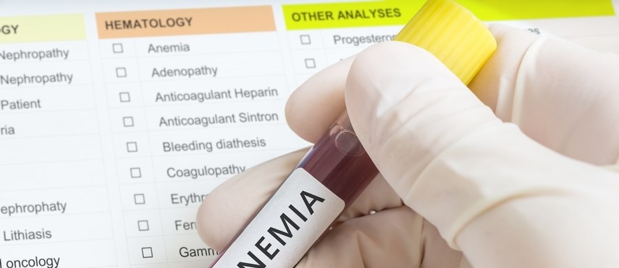 Popularna anemia czyli niedokrwistość, to mniejsza ilość hemoglobiny w organizmie. Może temu towarzyszyć zmniejszona liczba czerwonych krwinek. Są one składnikiem krwi produkowanym w szpiku kostnym. We wnętrzu czerwonych krwinek znajduje się hemoglobina, która odpowiada za transport tlenu do wszystkich komórek naszego ciała.