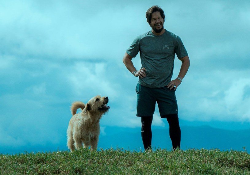 26 kwietnia na ekrany polskich kin trafi film "Mój pies Artur". To oparta na prawdziwych wydarzeniach opowieść o zdumiewającej przyjaźni wyczynowego sportowca i przygarniętego przez niego psa. W głównej roli zobaczymy Marka Wahlberga.  