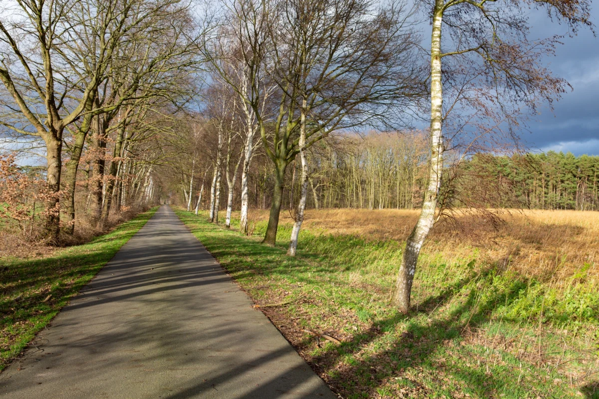 To będzie słoneczny dzień na południu Polski. Temperatura będzie dodatnia w całej Polsce. Najcieplej - na Dolnym Śląsku. Tam termometry pokażą do 13 st. Celsjusza. 