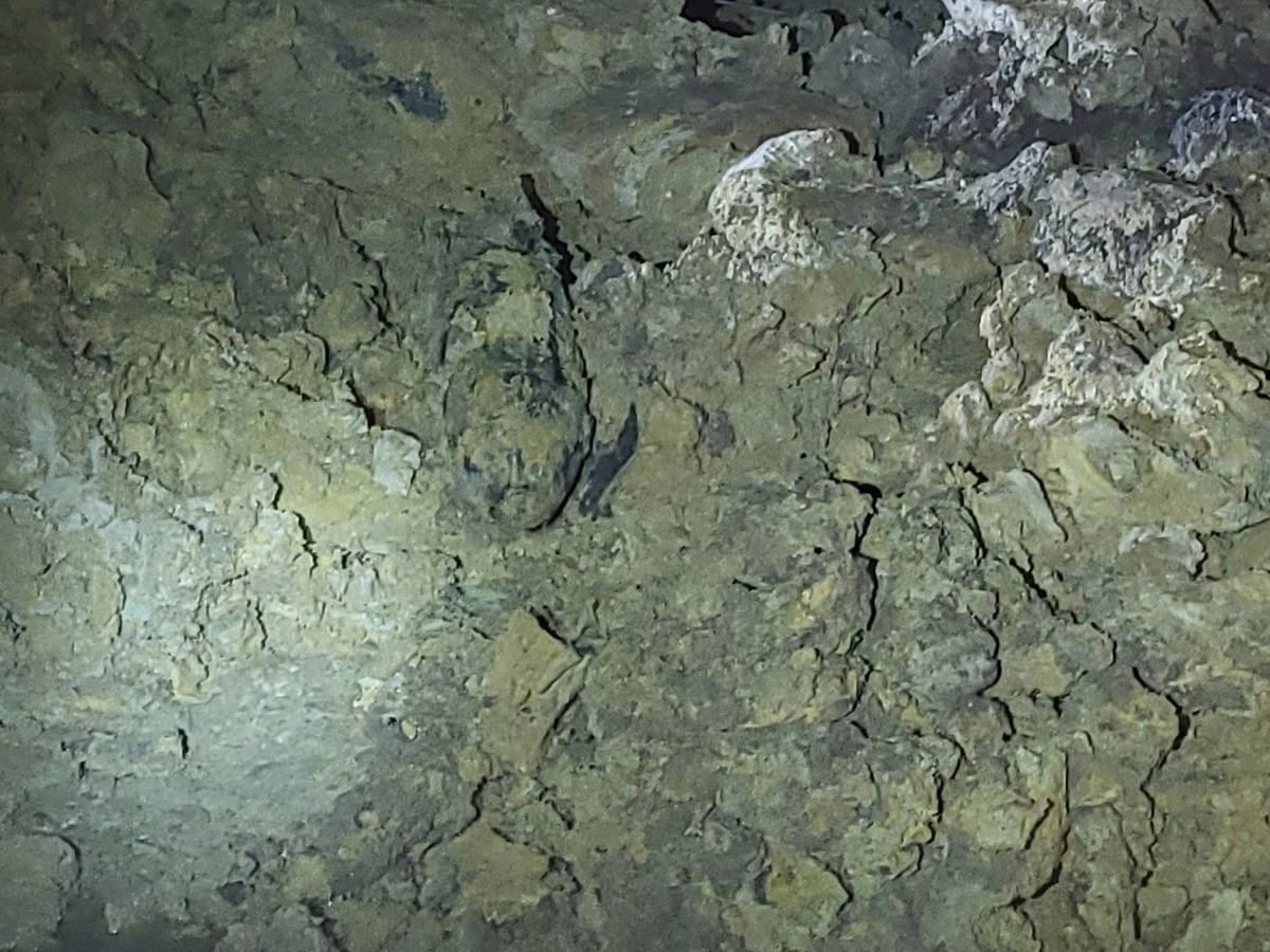 Prawie metrowy niewybuch znaleziony przez operatora koparki podczas prac budowlanych w Skawinie okazała się bombą lotniczą z czasów II wojny światowej. Zajęli się nią wojskowi saperzy. Konieczne było ewakuowanie na kilka godzin około 200 mieszkańców pobliskich budynków.

