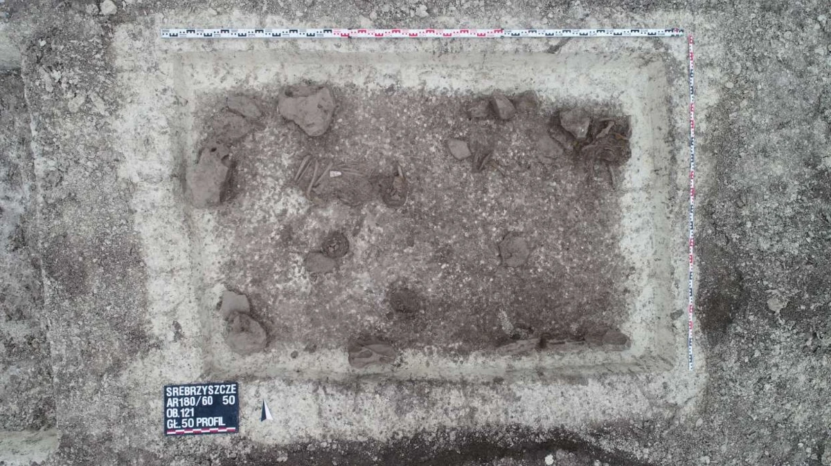 Co najmniej 4000 lat ma grób odkryty przez archeologów podczas budowę obwodnicy Chełma w woj. lubelskim. Ziemia skrywała tu również pozostałości kilkunastu obiektów mieszkalnych sprzed ponad 2400 lat. 