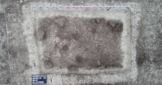 Co najmniej 4000 lat ma grób odkryty przez archeologów podczas budowę obwodnicy Chełma w woj. lubelskim. Ziemia skrywała tu również pozostałości kilkunastu obiektów mieszkalnych sprzed ponad 2400 lat. 