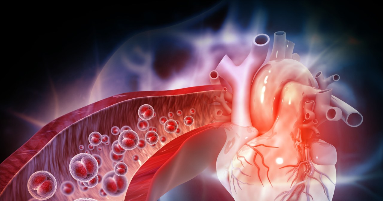 Czy zawał serca może być chorobą zakaźną? Naukowcy ujawniają nowe fakty