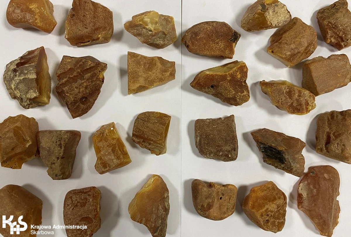 Funkcjonariusze z Warmińsko-Mazurskiego Oddziału Straży Granicznej wspólnie z celnikami zatrzymali mężczyznę, który próbował przemycić bursztyn. Ponad kilogram cennego kruszcu 51-latek ukrył pod ubraniem.