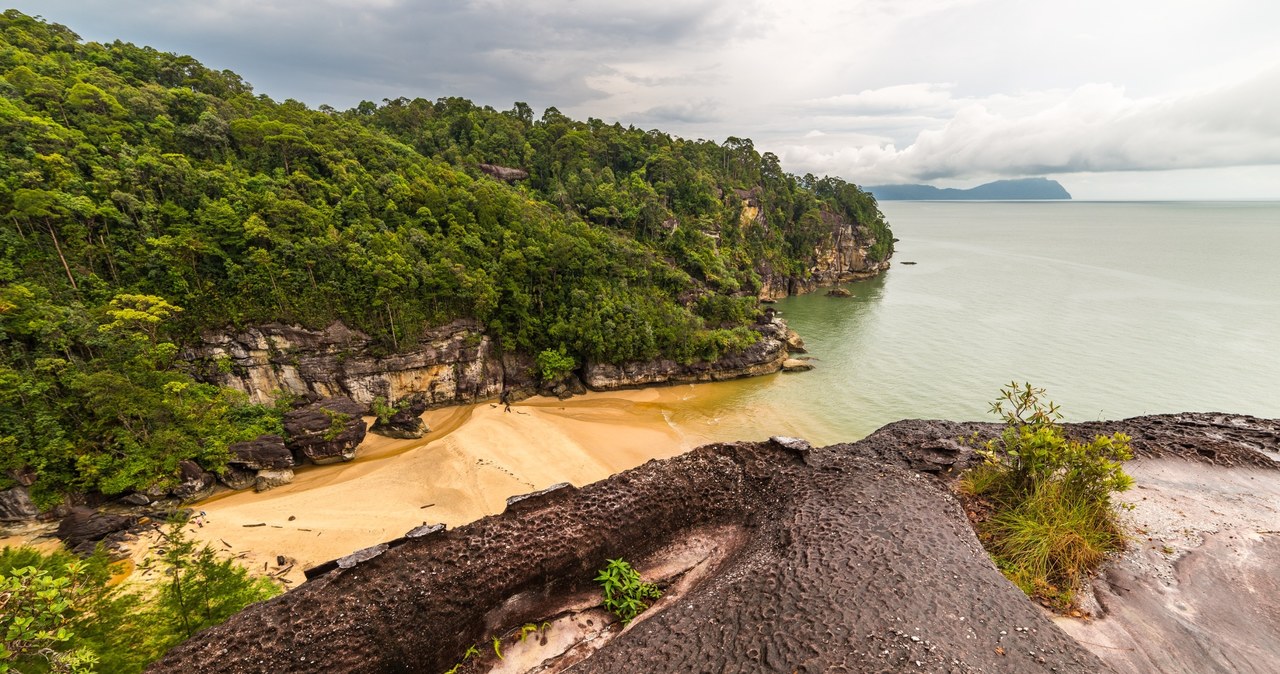 Ciekawe twory skalne od lat przyciągają do różnych miejsc podróżników z całego świata - niekiedy na pojedynczych formacjach opiera się wręcz cała turystyka w danym punkcie. Ze stratą właśnie takiego wyjątkowego symbolu mierzą się teraz pracownicy Parku Narodowego Bako w Malezji. Słynna skała, która swoim wyglądem przypominała majestatycznego węża - kobrę z rozłożonym kapturem, bezpowrotnie zniknęła. Czym zostało to spowodowane i jak brak najbardziej rozpoznawalnego elementu parku Bako wpłynie na turystykę na Borneo?
