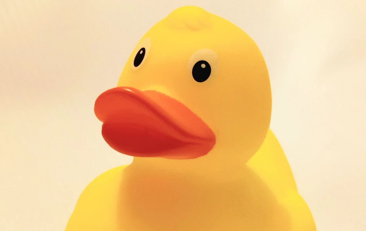 Dzielnica Żoliborz pochwaliła się ostatnio nowym gadżetem promocyjnym. Decyzją zarządu dzielnicy została nim żółta, gumowa kaczka. Ten dość nietypowy gadżet wielu osobom przywołuje na myśl jedno skojarzenie, czyli najsłynniejszego polityka związanego z tą dzielnicą. 