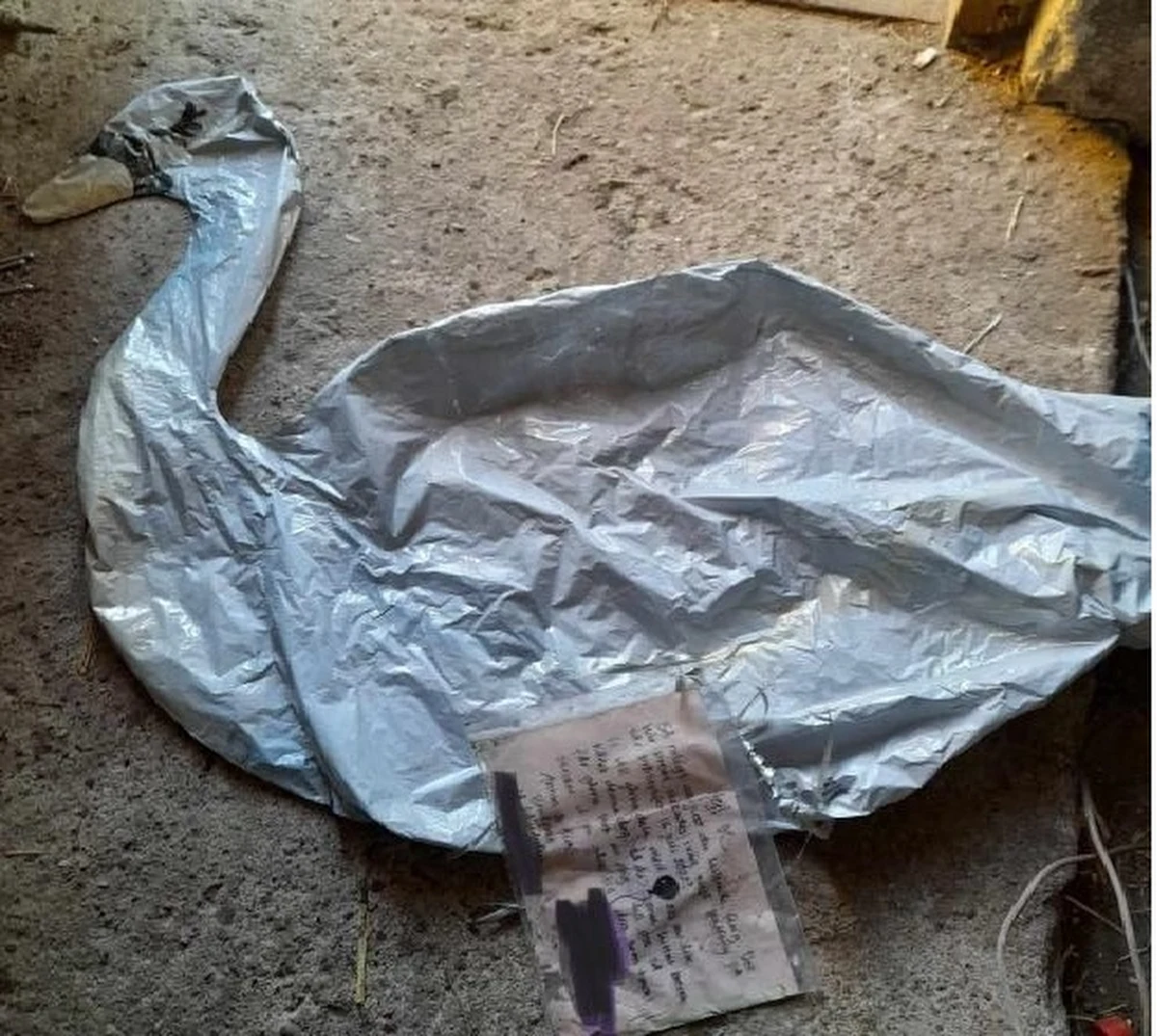 O tym, że miłość nie zna granic przekonali się ostatnio pracownicy Nadleśnictwa Parciaki (Mazowieckie). Syn jednego z leśniczych znalazł w lesie balon w kształcie łabędzia. Z doczepionej kartki wynikało, że wypuściła go w dniu ślubu młoda para ze Szwecji.