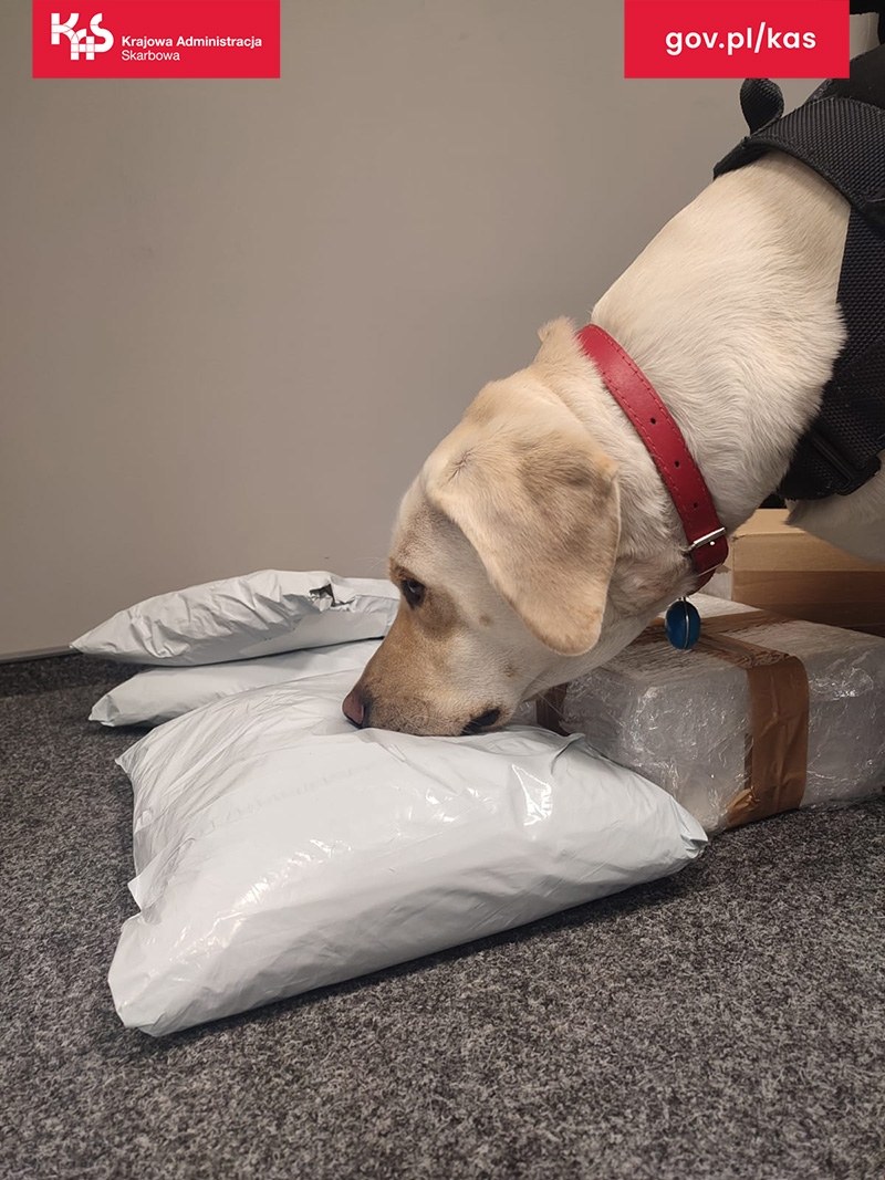 /foto: slaskie.kas.gov.pl /