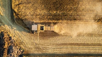 Rolnicy wyjadą na drogi. Uderzają w jakość ukraińskiego zboża