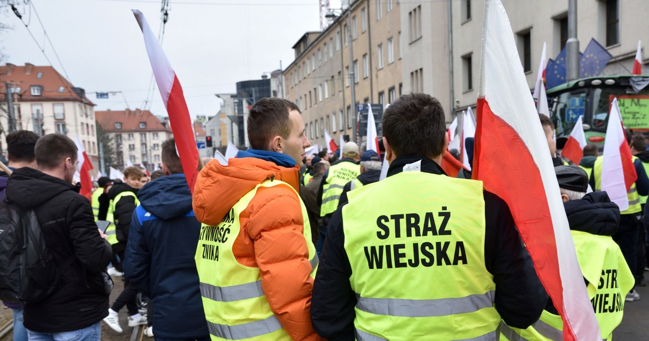 Rolnicze, protesty, innego, naturalna, uzasadniona, demokratyczna, reakcja, mieszkańców, Europy, oderwaną, realiów, wprowadzaną, Rafał Woś: Oczywiście, że rolnicy mają rację