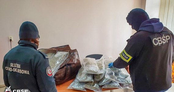 10 lat więzienia grozi litewskiemu kierowcy, który przemycał przez granicę środki odurzające. Po przeszukaniu jego ciężarówki i prześwietleniu skanerem RTG, w kabinie znaleziono 22 kilogramy marihuany.