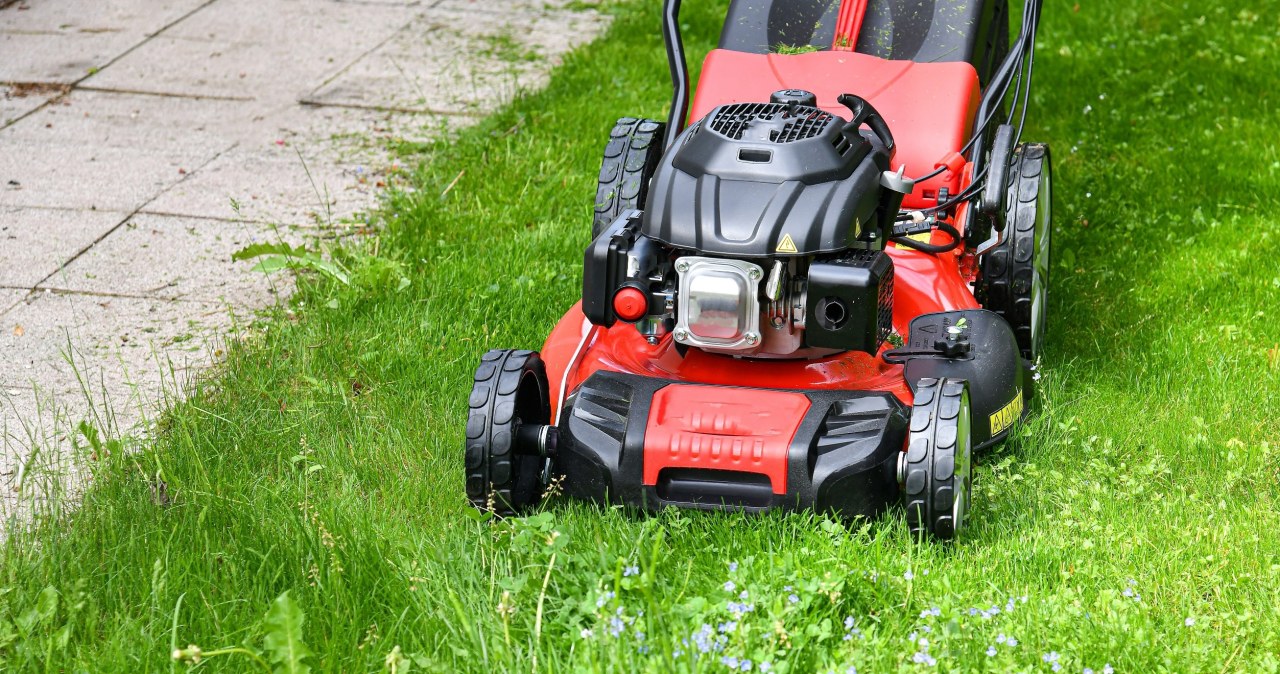 Sąsiad kosi trawę w weekend? W jednej sytuacji może dostać mandat