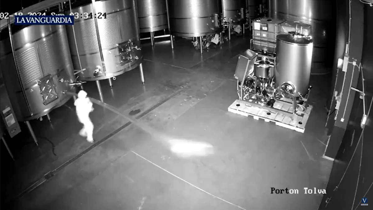 Na teren znanej z produkcji wysokiej klasy wina hiszpańskiej winnicy Bodega Cepa 21 w minioną niedzielę wtargnął nieproszony gość. Nieznana osoba wylała ze zbiorników 60 tysięcy litrów trunku. Wszystko nagrały kamery monitoringu. Straty oszacowano na 2,5 miliona euro.