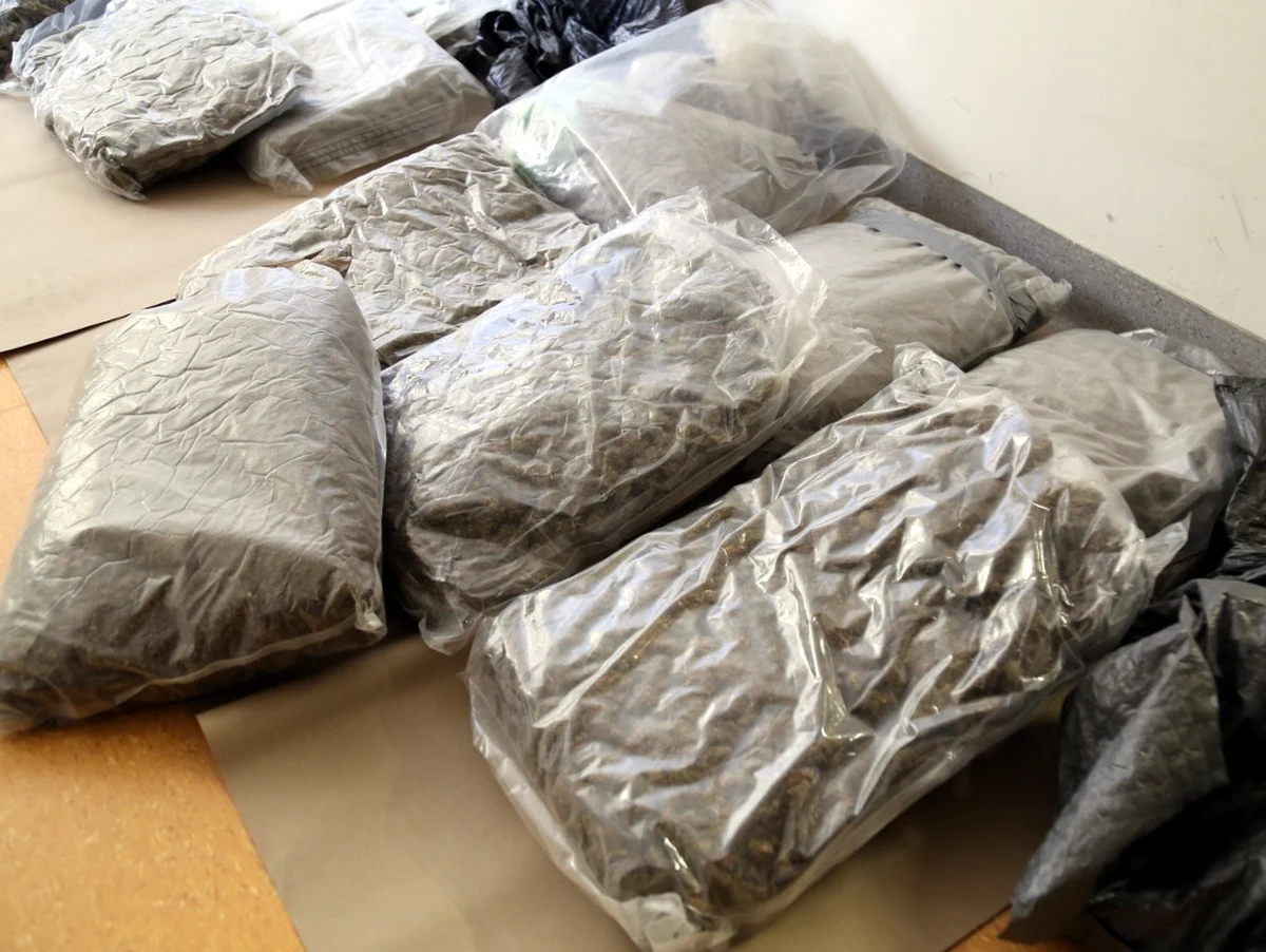 Ponad 17 kg marihuany przejęli policjanci w Warszawie. Zatrzymali czterech młodych mężczyzn podejrzanych o obrót narkotykami. 