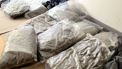 Policjanci przejęli 17 kg narkotyków. Cztery osoby zatrzymane 