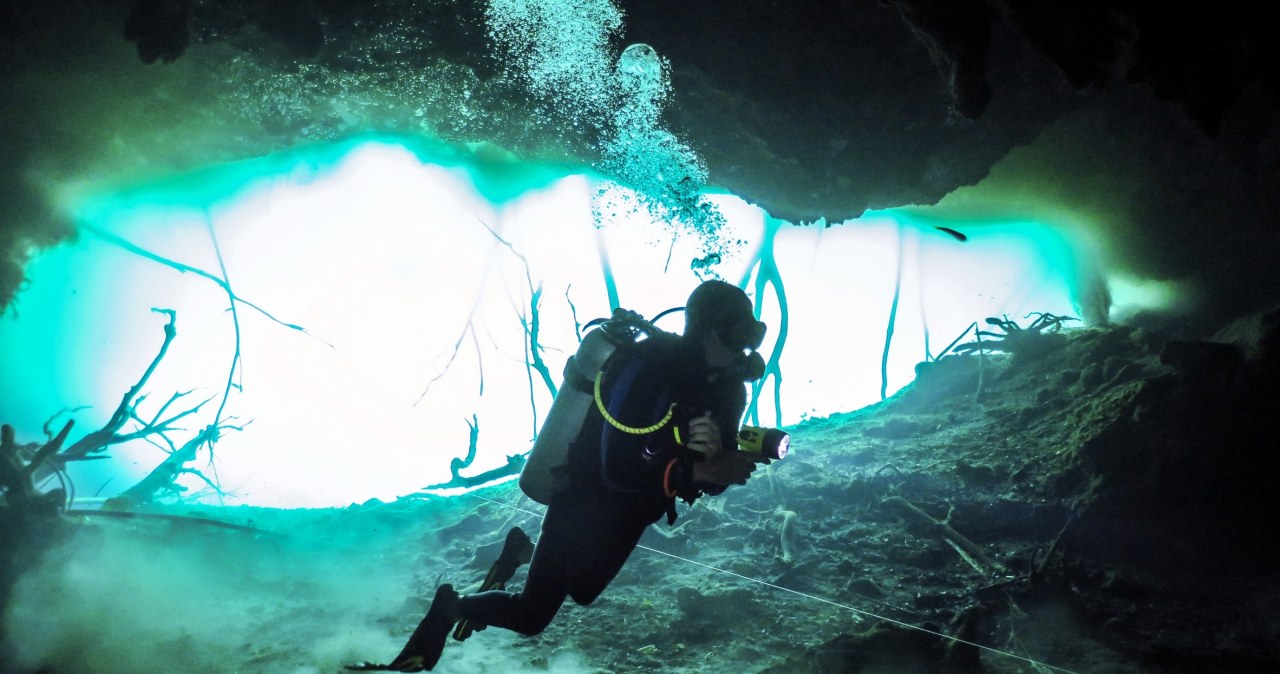 Tysiące nowych gatunków. Życie rozkwita tam, gdzie nie dociera słońce