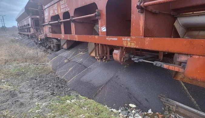 Rzepak wysypano z wagonów w Dorohusku. Ukraiński wicepremier oburzony