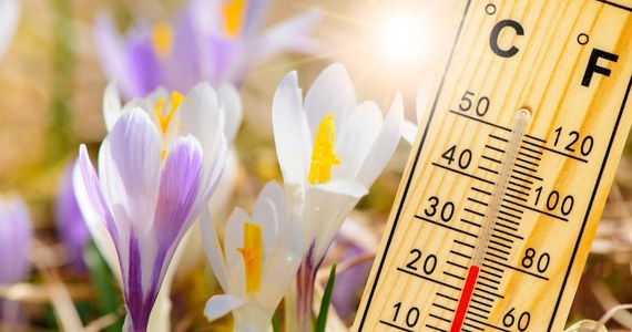 Synoptycy nie mają wątpliwości. Wiosna nadejdzie wcześniej. Najbliższy tydzień przyniesie temperaturę nawet do 17 st.C. 