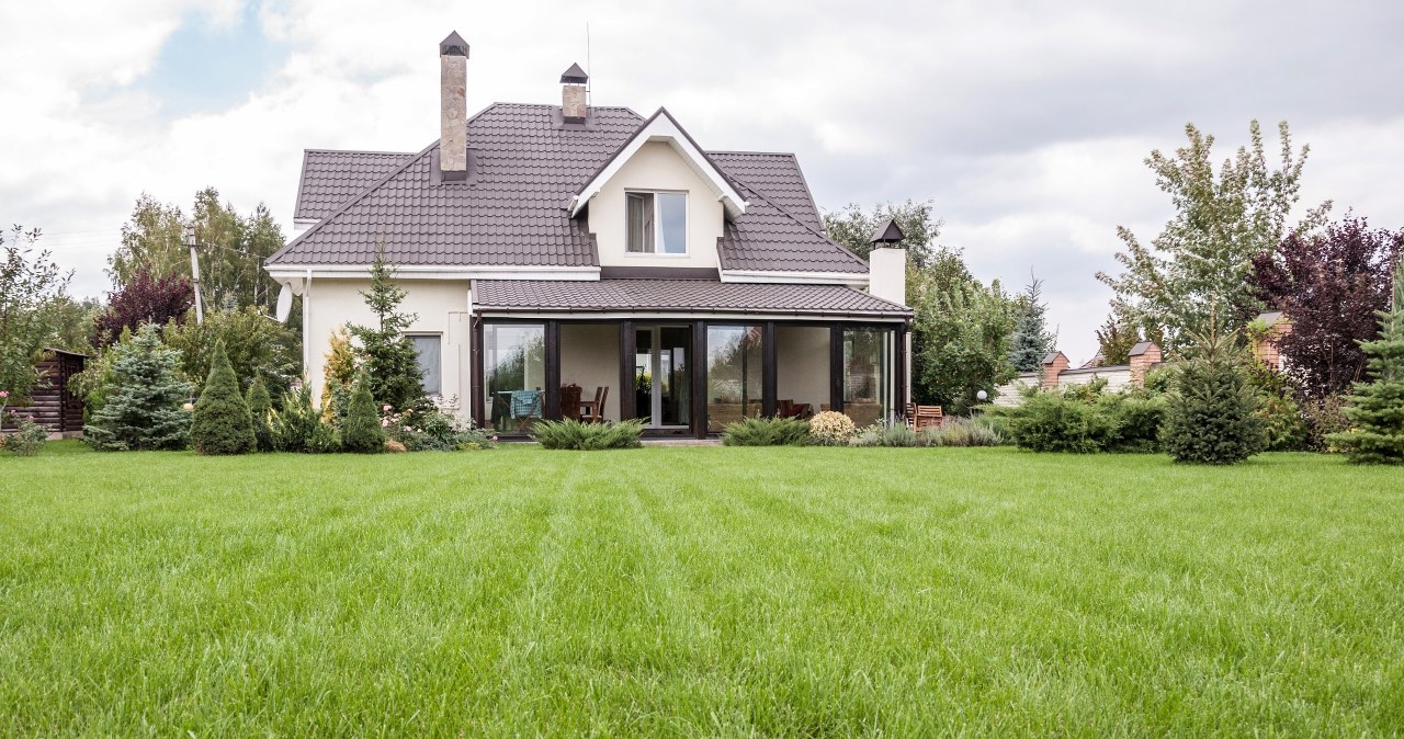 Czy można kosić mokrą trawę? To powinien wiedzieć każdy ogrodnik