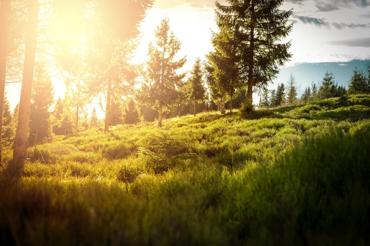 "Luty jest ekstremalnie ciepły, najprawdopodobniej najcieplejszy od początku pomiarów. Na pewno cieplejszy od 1990 roku" - powiedziała synoptyk IMGW Anna Woźniak w rozmowie z Tomaszem Terlikowskim w internetowym Radiu RMF24. Meteorolog mówiła również o tym, jaka może być pogoda na Wielkanoc.